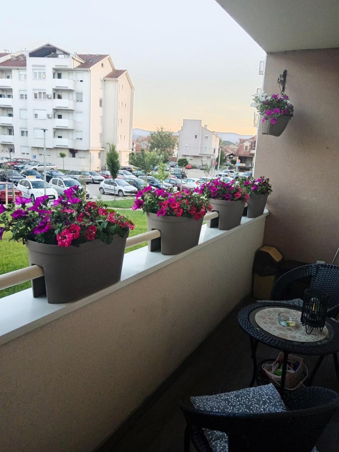 Apartman Lara Pirot Exterior foto